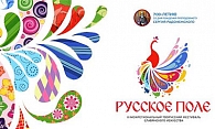 Лучшим танцевальным коллективом на «Русском поле» признан ансамбль «Агидель» из Татарстана